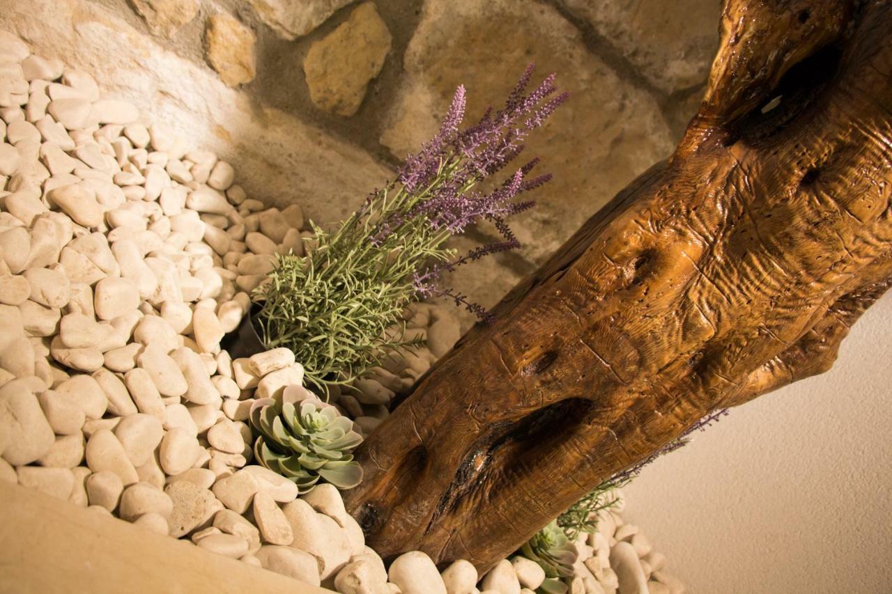 La Casa Di Pinocchio *